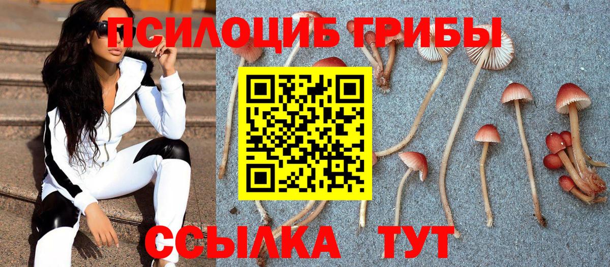 Нефтекамск  Галлюциногенные грибы GOLDEN TEACHER  наркотики  Вход с VPN 